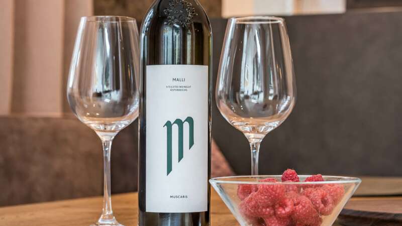 Appartements Schönblick Tux