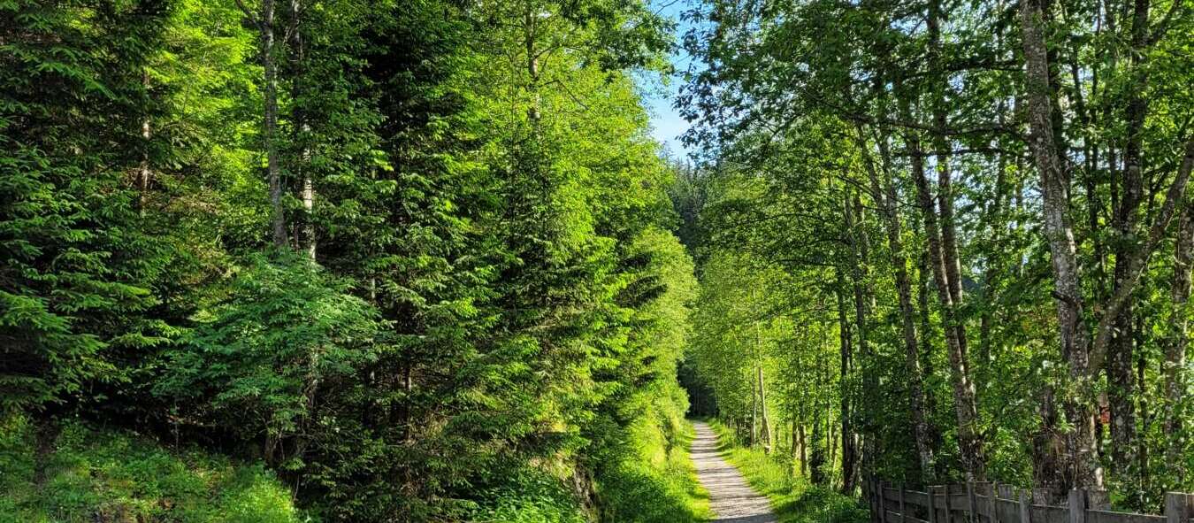 Appartements Schönblick Tux