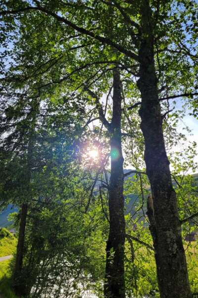 Appartements Schönblick Tux