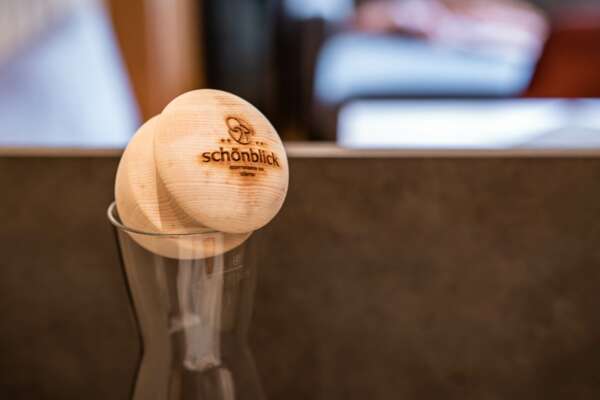 Appartements Schönblick Tux