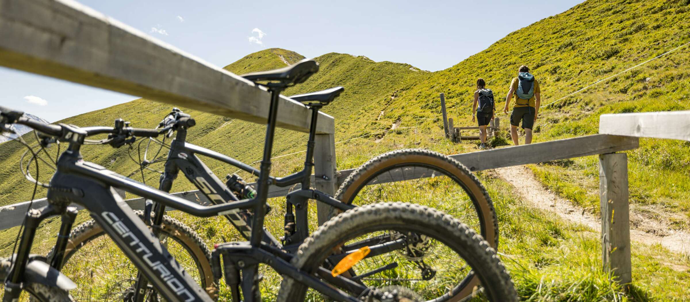 Summer holidays in Tux