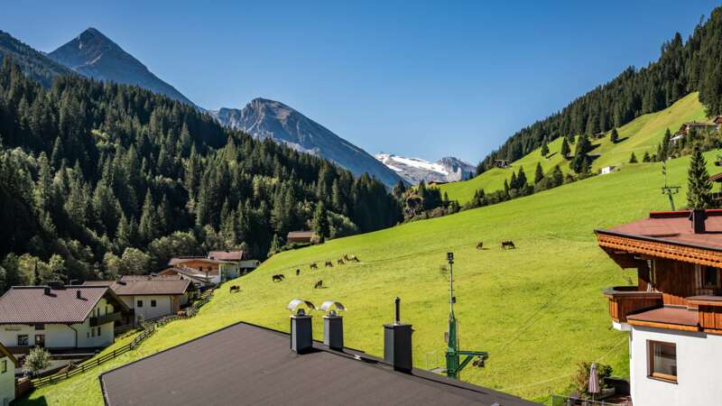 Appartements Schönblick