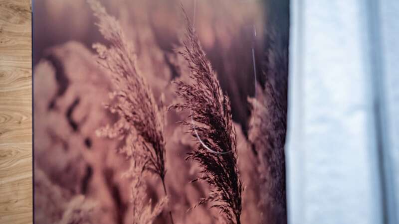 Appartements Schönblick Tux