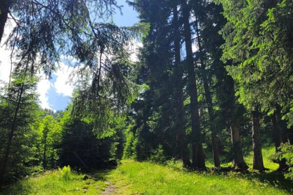 Appartements Schönblick