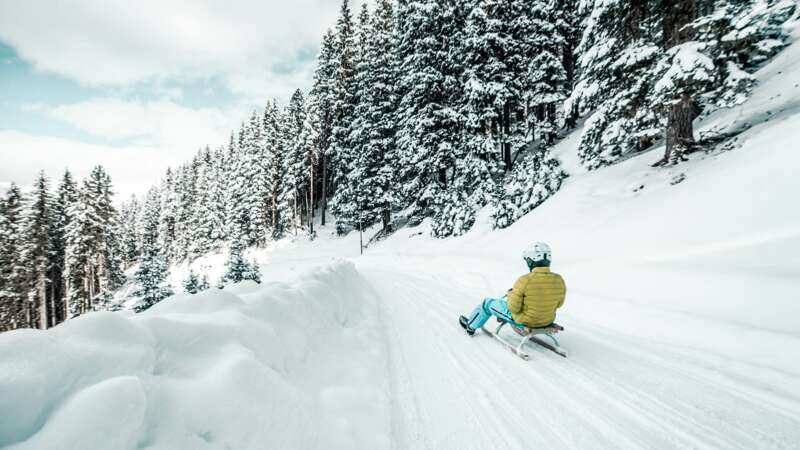 Rodeln in den Bergen
