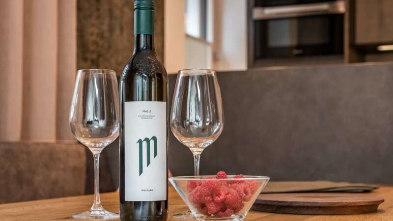 Appartements Schönblick Tux