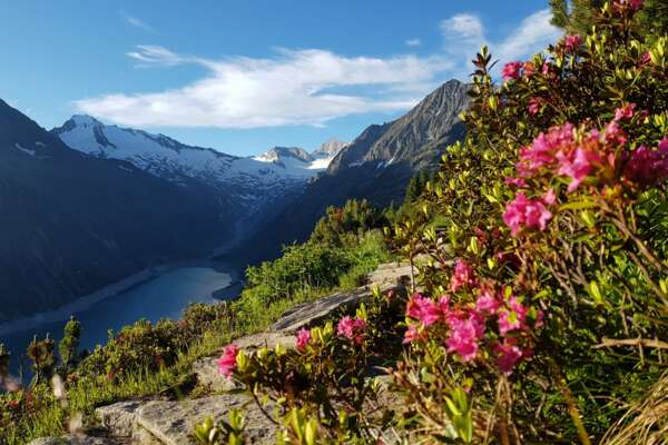 Appartements Schönblick Tux