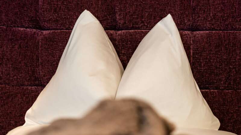 Appartements Schönblick Tux