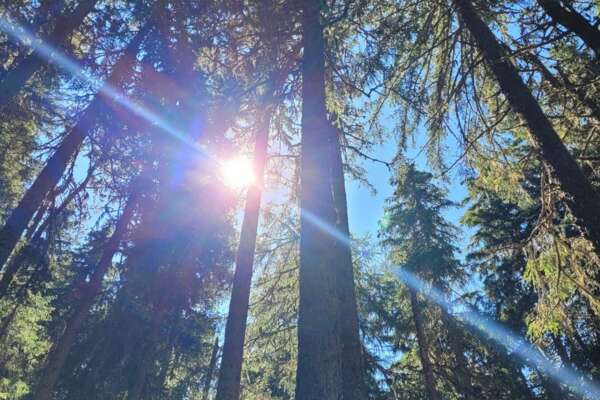 Appartements Schönblick