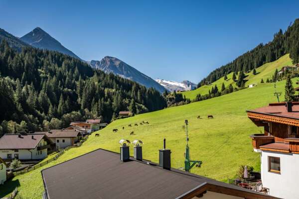 Appartements Schönblick